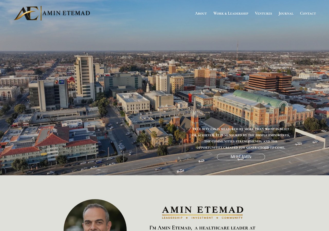 Amin Etemad website